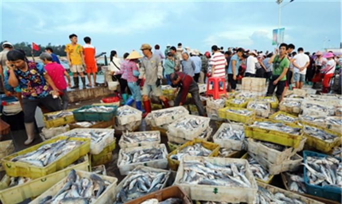 揭秘！不用出国也能享受到最美海滩，广东10大绝美海岛等你来！