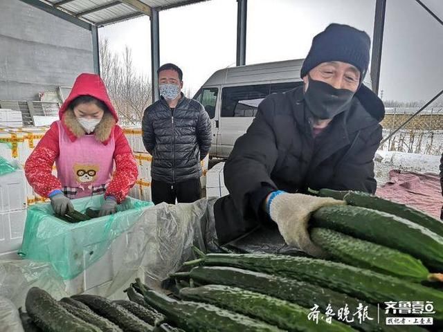  沂南县|不进超市不出门，吃菜照样不用愁，沂南县“无接触”配送