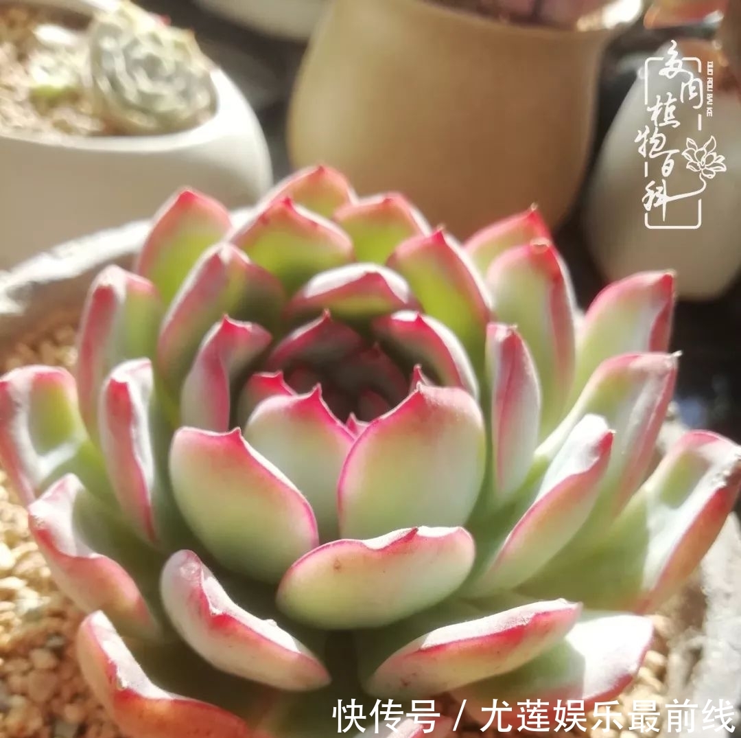  『那种』我爱的，就是你的存在！只要努力该来的都在路上！