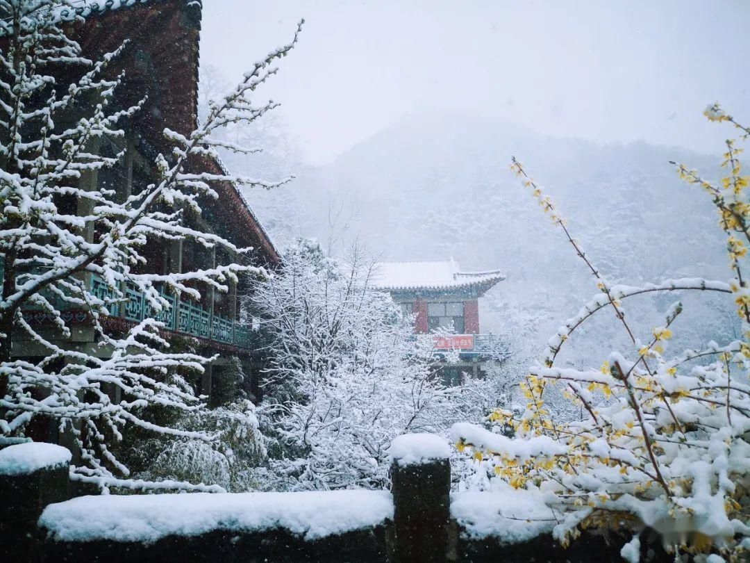  『岱宗』春雪空濛落岱宗，最美人间四月天