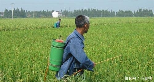  养老金|2019年起: 年龄超过这个“数”就不必交社保了, 别白花“