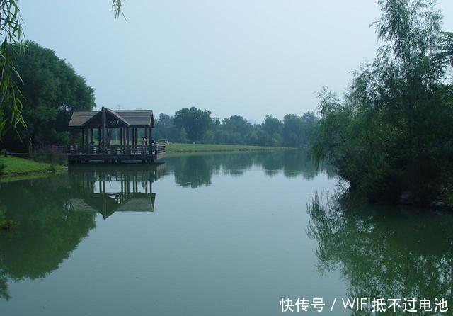 北京现最该去的景点: 面积超万亩, 美成了金色童话! 还不收费