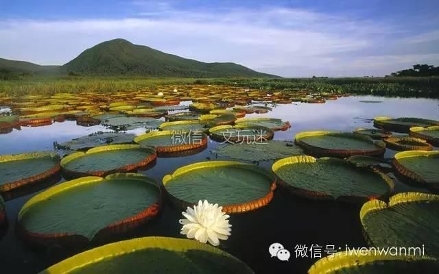 玩珠子盘串的你，就应该去这些地方玩！