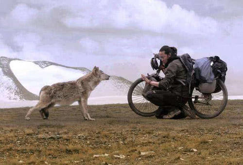 中国最大无人区:海拔6000多米人类难以存活,野生动物的天堂