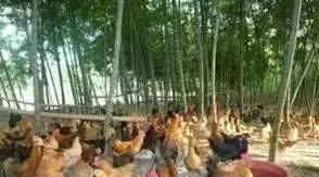 这几种无中生有的谣言，坑害了多少老百姓