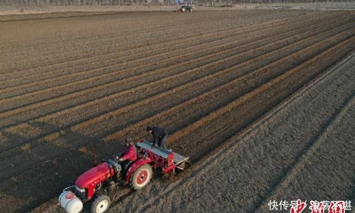  「牛春富」河北种粮大户的春耕：不离乡土 种粮“生金”