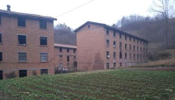 秦岭巴山之间这家兵工厂，建筑破败，一片废墟，成了牛羊的乐园