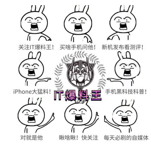  回归：功能大改、拟物化风格回归！小米MIUI 12浮出水面