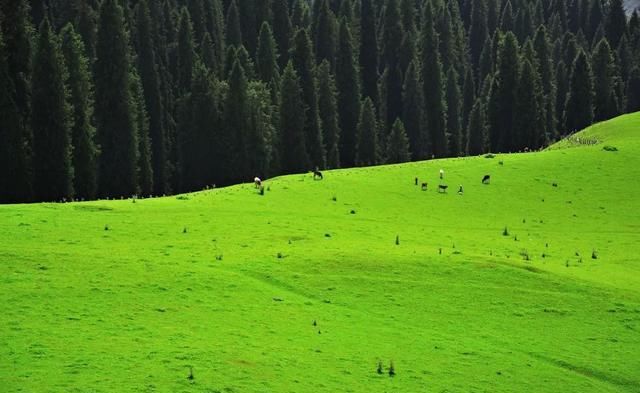 喜欢自驾吗？这十条线路你一定有喜欢的