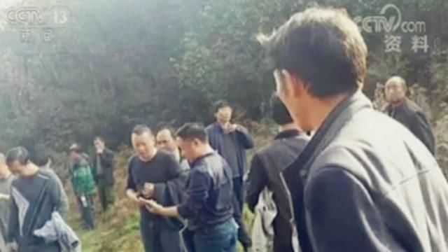  不动产登记：林权证11年没办成 勘测数据不知去向！国务院督查组