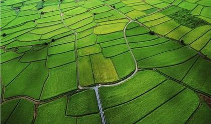 补贴标准是1500元一亩！高标准农田建设是啥？