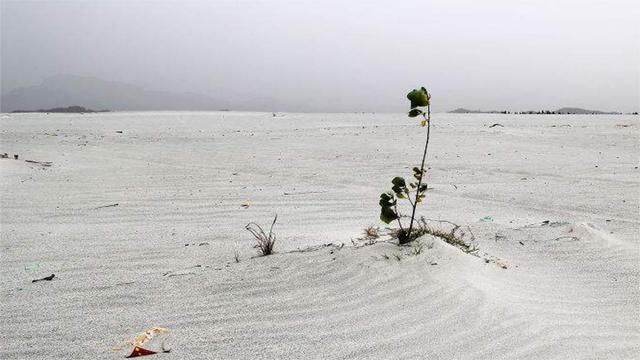 我国最值钱沙漠：不是西北却在南方，别国用一斤粮食换一斤沙被拒