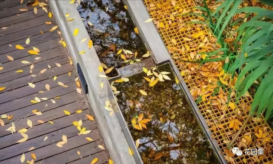 你的花园会呼吸吗？