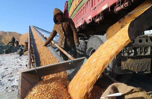  【土地流转】未来五年，农村4类人将率先富起来，认清形势，年挣