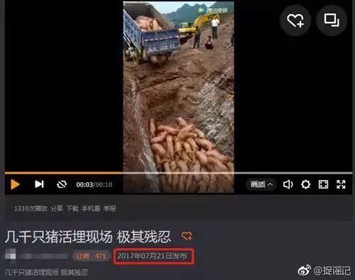 网传河北多人感染猪病毒死亡？近期猪肉不能吃了？假的！