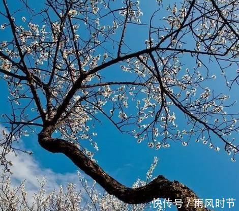  #攻略#中国内湖第一岛苏州洞庭西山岛旅行攻略