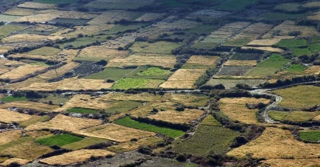  农村：十年后的农村, 这三样东西将会比房子车子还值钱, 你有吗?