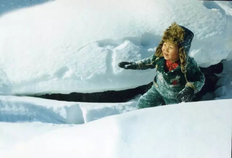 别找了，中国最美雪景都在这!看到雪乡第一眼，就沦陷了!