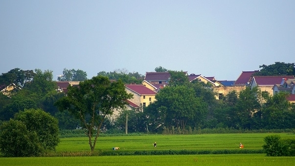  【严惩】农民不要再做这3件事，已经明令禁止，抓到肯定严惩，找