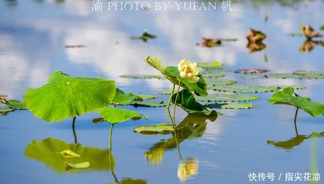 吉林有个中国最美渔村,名气很大风景很美,你知道是哪里吗?