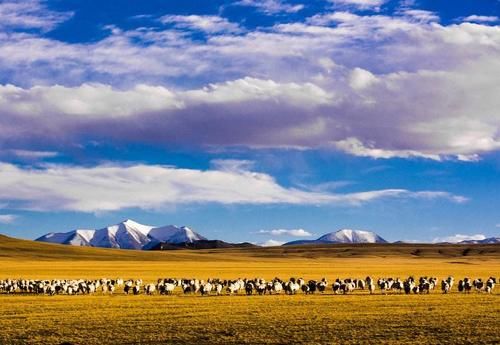 西藏大北线自驾游