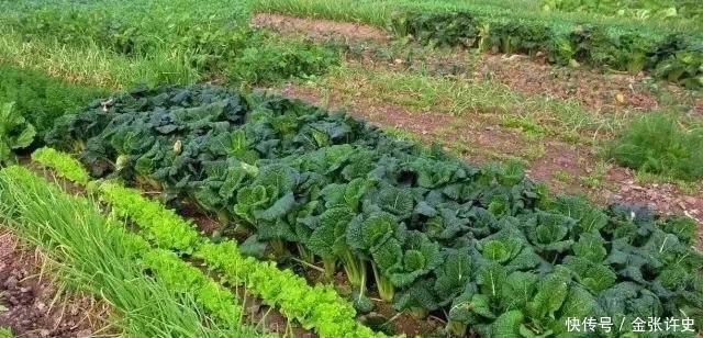  「农村」老家的房子，穷死都不能卖