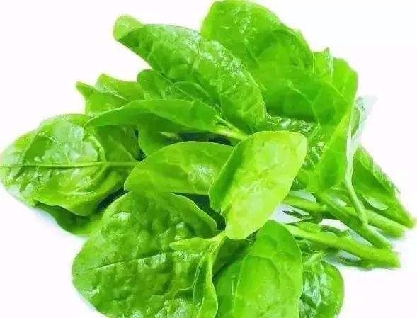 实用|阳台上植什么蔬菜最实用?下边3种不仅好种,还好吃不腻