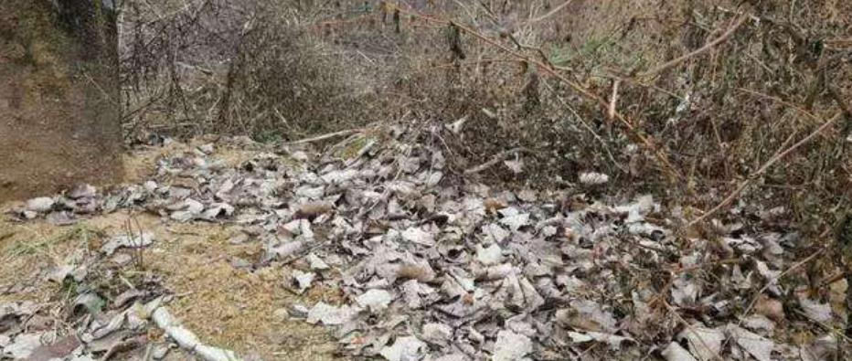  「洗衣服」农民们经常洗衣服，种子的价值很宝贵，现在农村都被