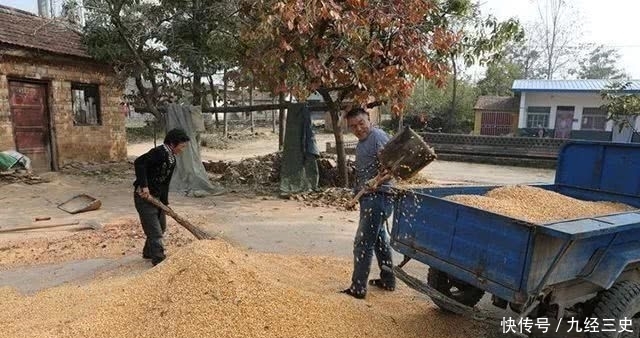  小牛犊■一个农村农民，生态养牛20头，能不能赚钱呢？每年赚多