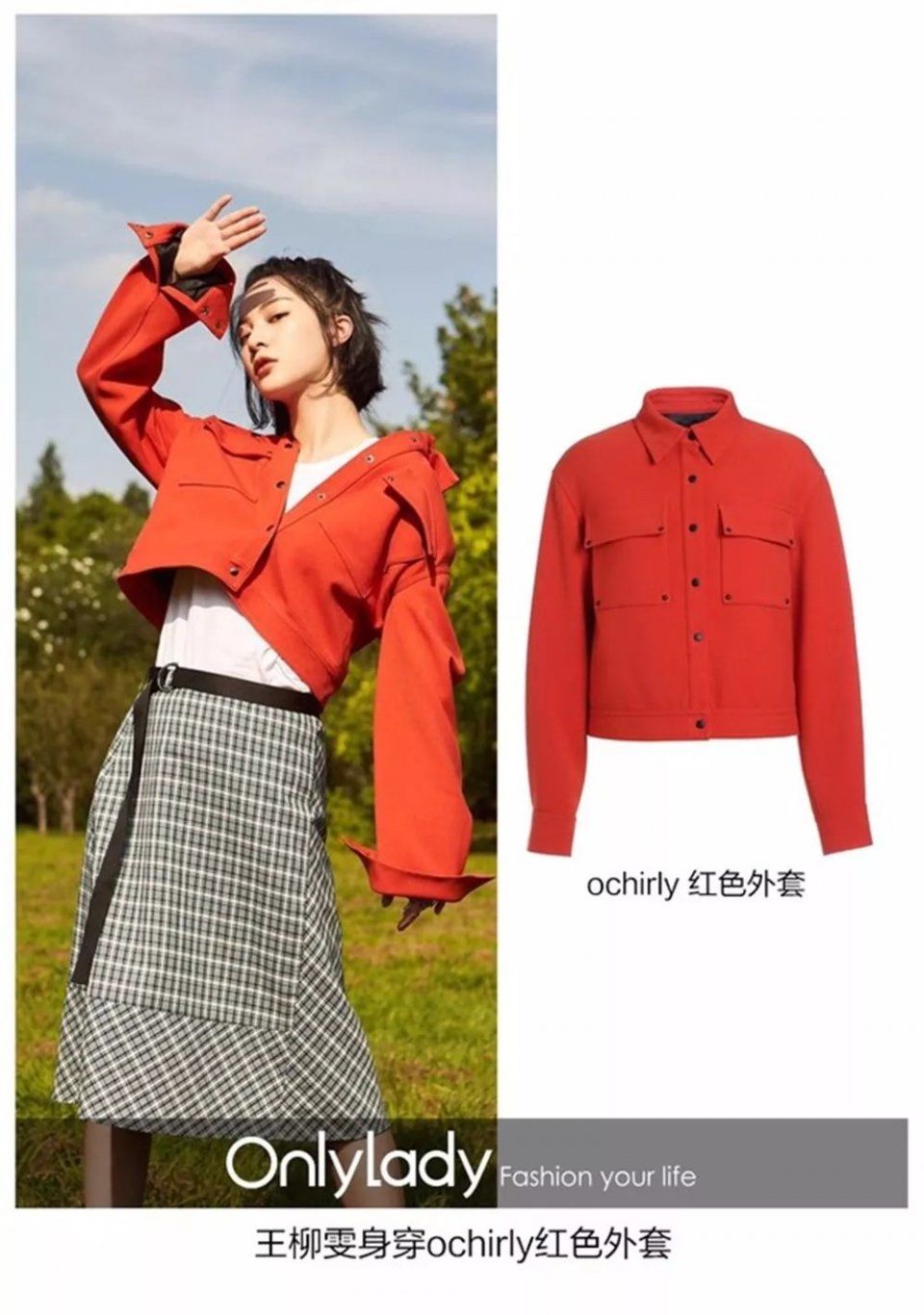 什么?听说现在合格的猫奴都直接把猫主子穿在身上了!