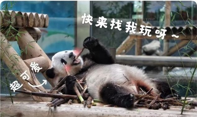 教师节、中秋节、国庆节，这里统统给你安排好了