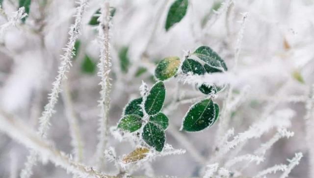  2020年■19年冬至具体时间，20年是“寡妇年”吗，今冬何时最冷