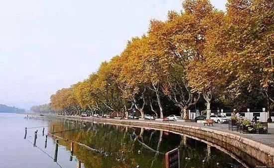 出发 | 金秋十月，这5个地方藏着中国最美的秋色！