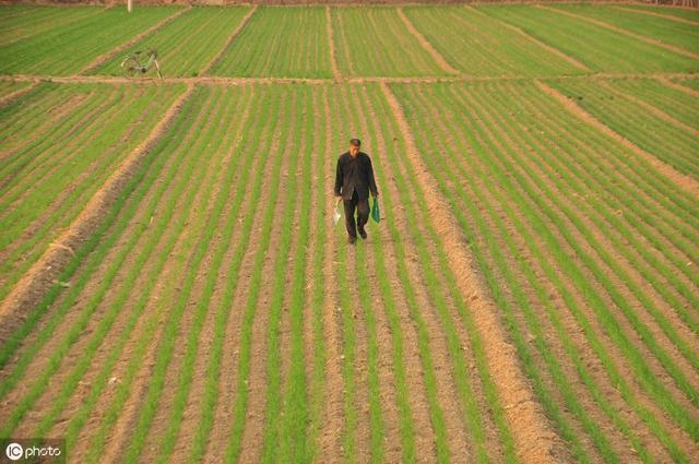 为什么有的人同意农民领退休金，有的人却不同意？原因在这