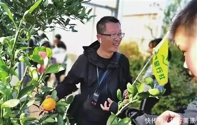 一位资深导游眼中的崇明变迁!