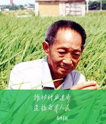  院士|袁隆平院士的“硬核”支援，到达武汉