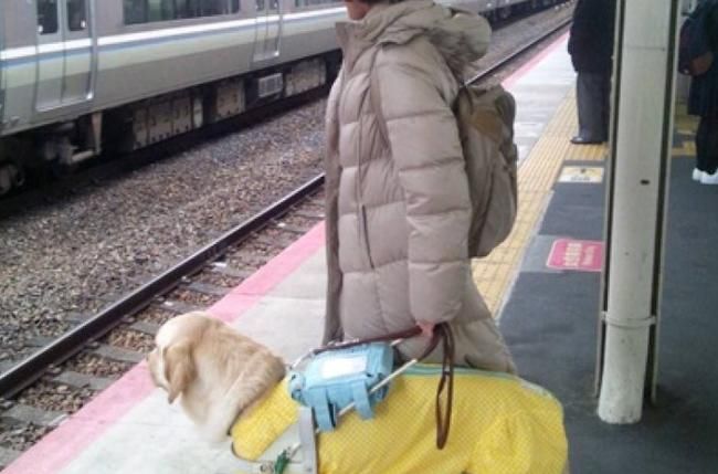 美国姑娘来中国旅行体验高铁，被准点率惊到了，看到它更是意外