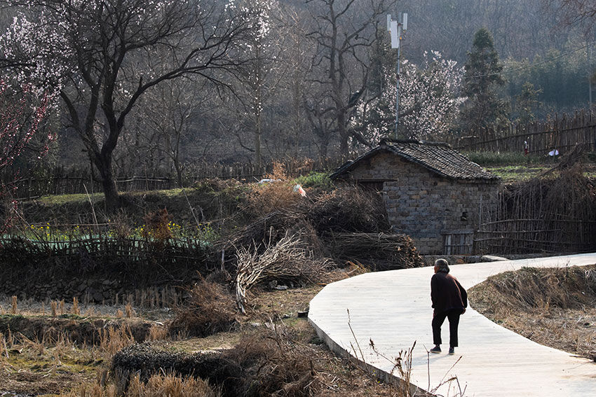 大别山区有个古朴而秀美的地方，借问此地在何处，牧童遥指杏花村