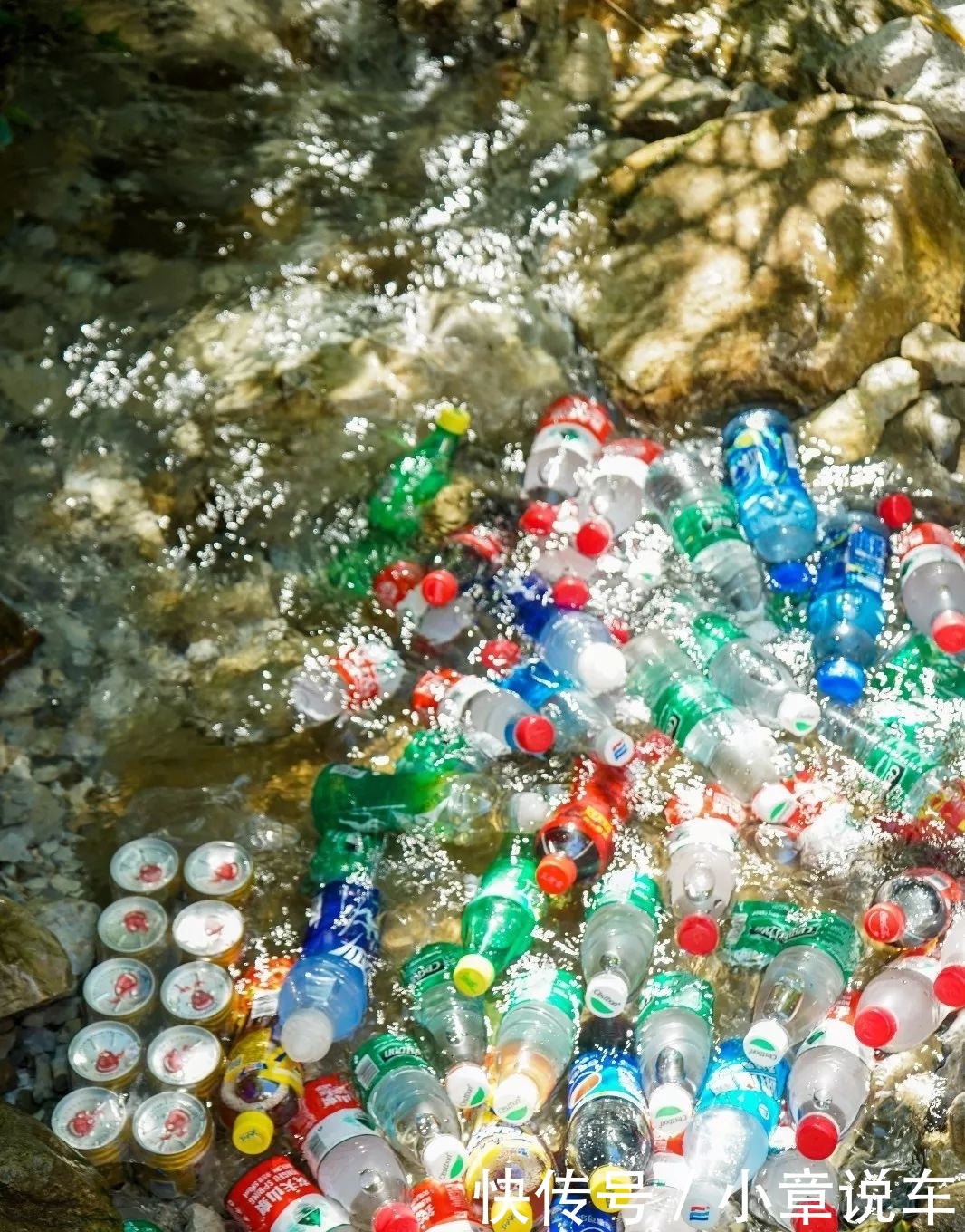 峨眉山，被低估了的四川避暑王者！