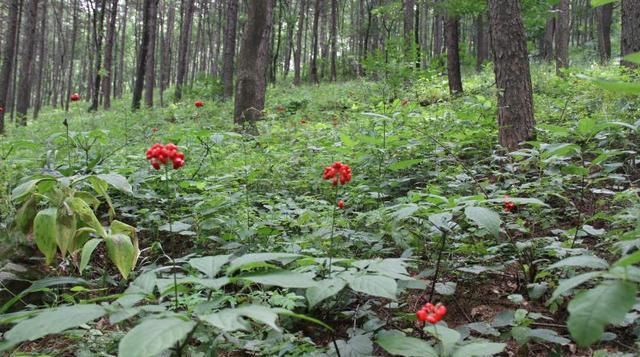  「点名」辽宁这8个乡镇被国家点名