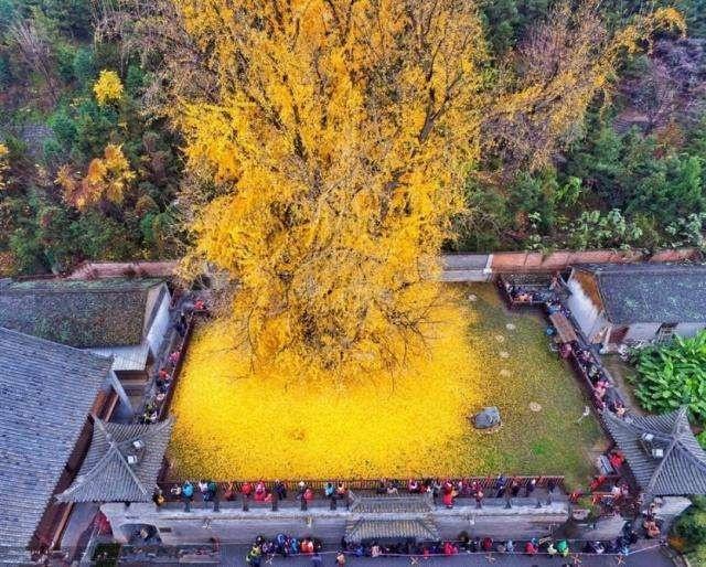 中国最不想挣钱寺庙，拒绝旅游团进入，给游客一片清净，很良心！