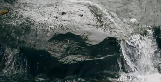 重庆彻底火了！又拿全国第一，网红城市当之无愧！