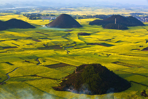 看这里！三月赏花好地方已经安排好了