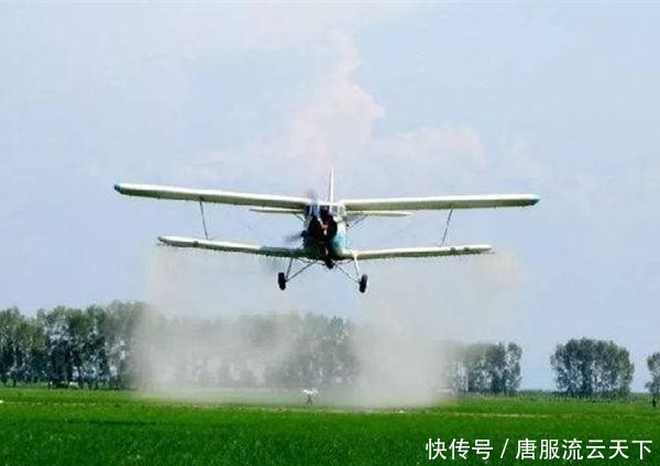  「蝗虫」4000亿只蝗虫袭击巴基斯坦和印度，两国为何不投放鸡鸭