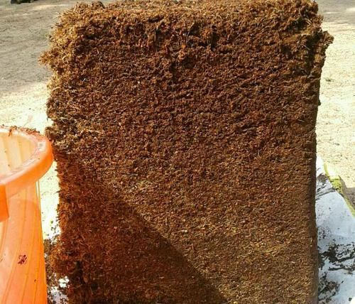  「用椰糠」椰糠虽好，不建议单独使用养兰花，养兰花植料是要点养功是关键