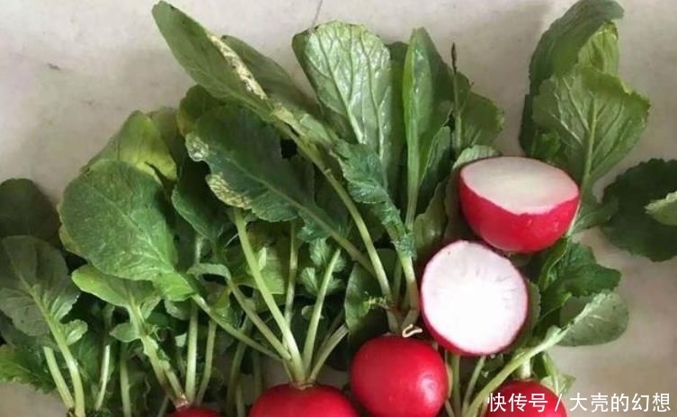 『不用』“5种菜”种阳台,长得快,结果多,不用出门买,随吃随摘!