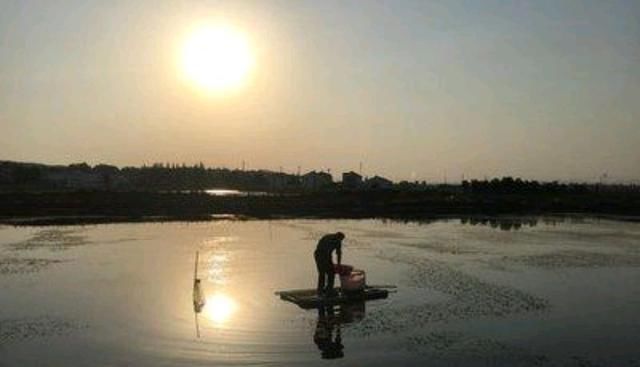  冬天：冬天如何养殖龙虾，水位要多深