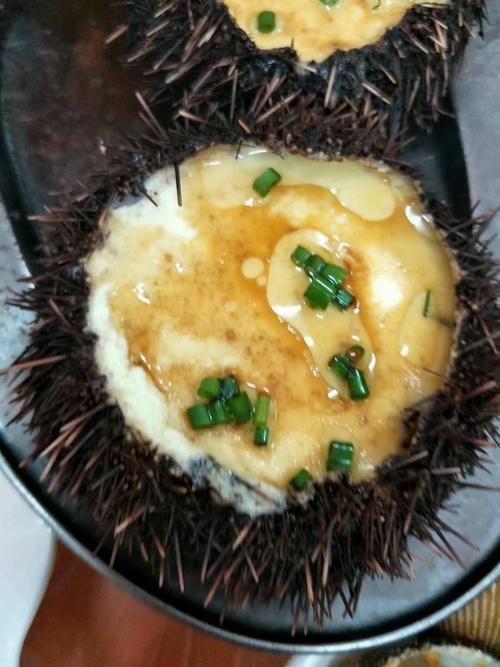 和萌宝的幸福三亚之行