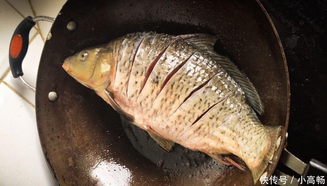 『钓到』我在美国钓鱼的日子,这里的鲤鱼虽然肥硕,但有股煤油味
