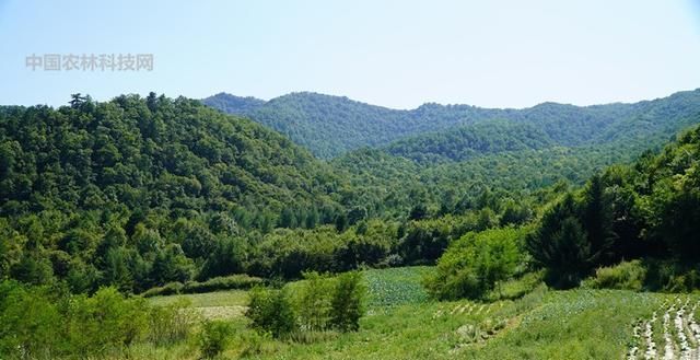 自驾游眉凤路到太白山以西第一高峰玉皇山，人少景美你一定要来哦